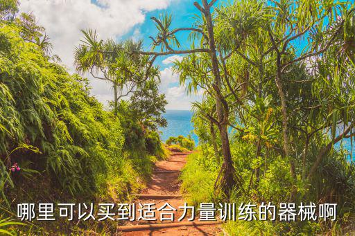 哪里可以買到適合力量訓練的器械啊