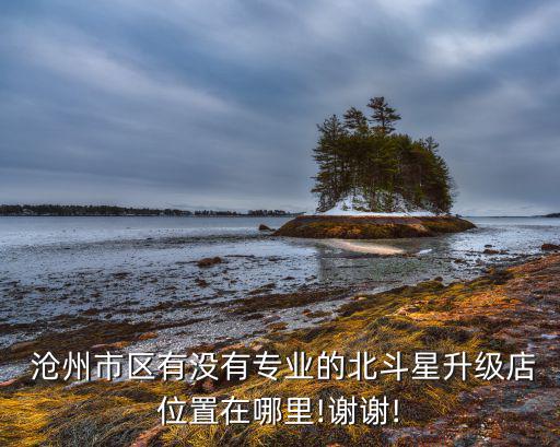  滄州市區(qū)有沒(méi)有專業(yè)的北斗星升級(jí)店位置在哪里!謝謝!