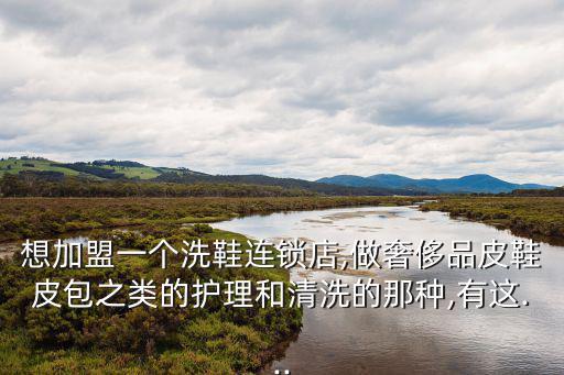 想加盟一個(gè)洗鞋連鎖店,做奢侈品皮鞋皮包之類的護(hù)理和清洗的那種,有這...
