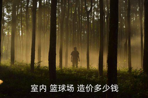  室內(nèi) 籃球場(chǎng) 造價(jià)多少錢
