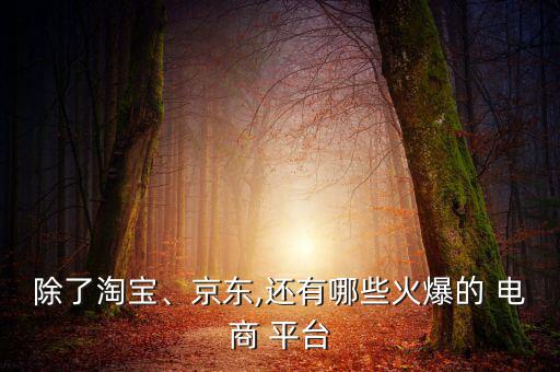 最火的跨境電商平臺,海外倉一件代發(fā)平臺