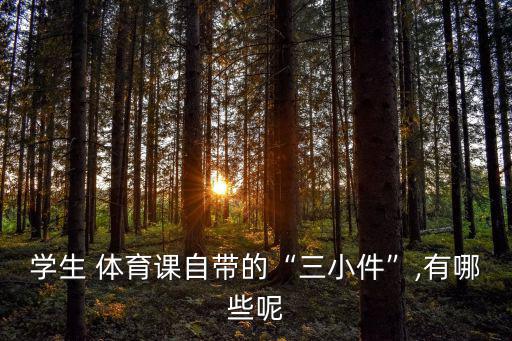 學校體育器材名稱大全圖片,體育用品大全清單