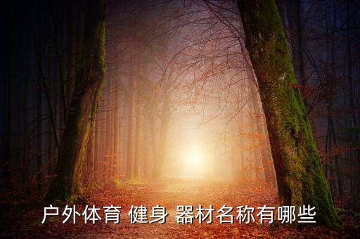 健身廣場(chǎng)有什么器材,健身房特定健身器材供你選擇