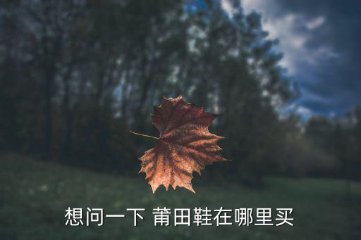 莆田鞋源頭廠家,阿瑪哲鞋店加盟費多少