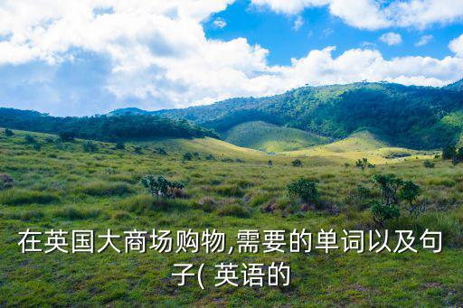 在英國(guó)大商場(chǎng)購(gòu)物,需要的單詞以及句子( 英語(yǔ)的