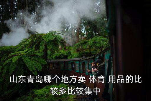 體育用品在哪里賣好點(diǎn),上海各大商場(chǎng)基本上都有體育用品專柜