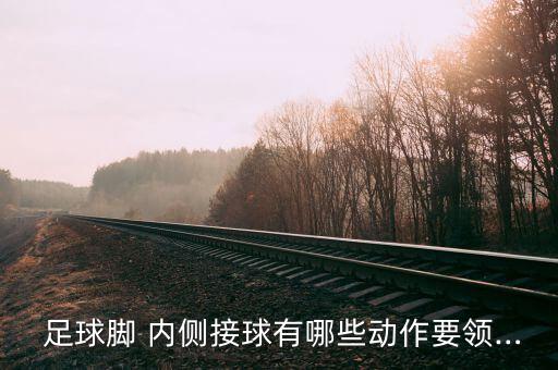  足球腳 內(nèi)側(cè)接球有哪些動(dòng)作要領(lǐng)…