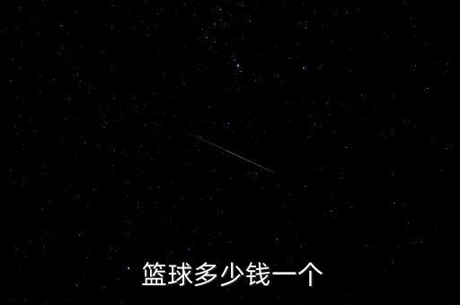  籃球多少錢一個