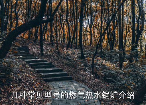 幾種常見(jiàn)型號(hào)的燃?xì)鉄崴仩t介紹
