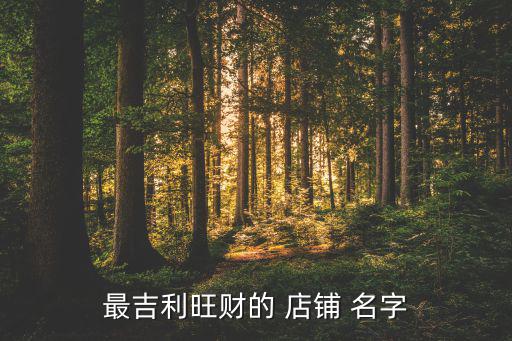 店鋪取什么名字比較旺,好聽順口又帶財運的店名
