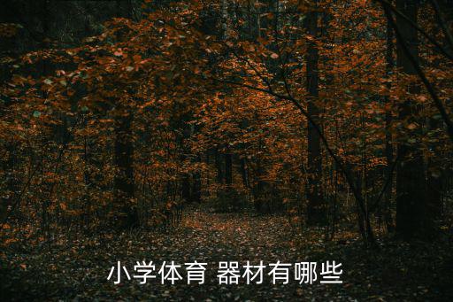 校園足球訓(xùn)練器材清單表,小學(xué)校園足球訓(xùn)練計(jì)劃方案