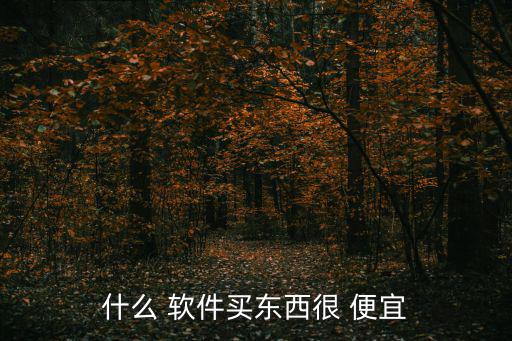 什么 軟件買(mǎi)東西很 便宜