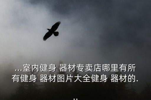 ...室內(nèi)健身 器材專(zhuān)賣(mài)店哪里有所有健身 器材圖片大全健身 器材的...