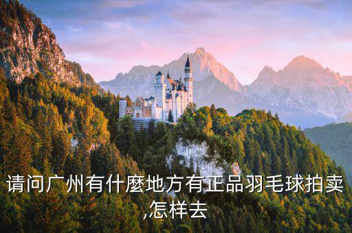 請問廣州有什麼地方有正品羽毛球拍賣,怎樣去