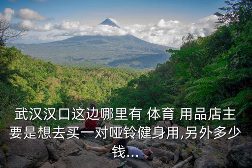 武漢漢口這邊哪里有 體育 用品店主要是想去買一對啞鈴健身用,另外多少錢...