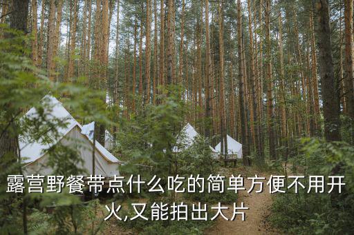 野營食物準(zhǔn)備,野營帶什么食物最好