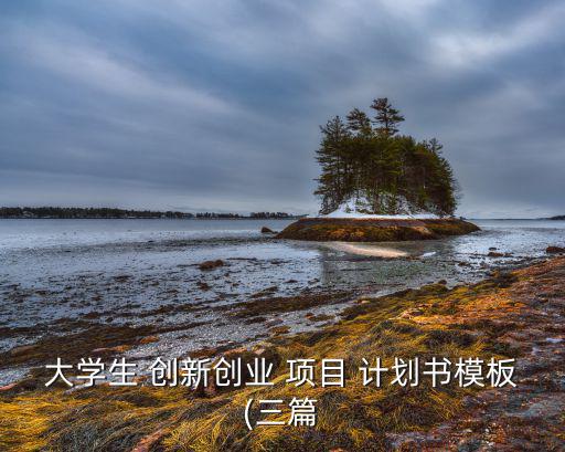 大學生 創(chuàng)新創(chuàng)業(yè) 項目 計劃書模板(三篇