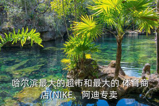 哈爾濱體育器材批發(fā)市場,重慶體育器材批發(fā)市場在哪里