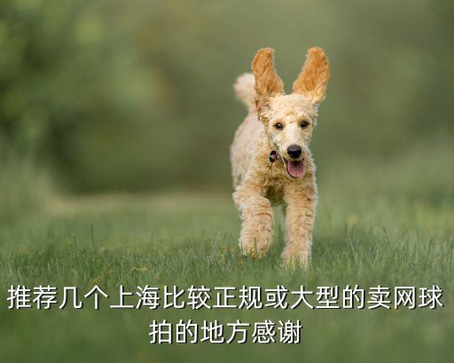 推薦幾個上海比較正規(guī)或大型的賣網球拍的地方感謝