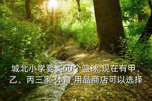 城北小學(xué)要買60個(gè)籃球,現(xiàn)在有甲、乙、丙三家 體育 用品商店可以選擇,