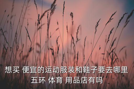 便宜的體育用品店,開一個體育用品店需要多少錢
