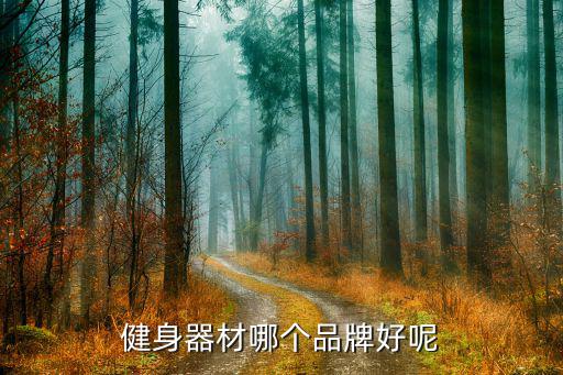 健身器材哪個(gè)品牌好呢