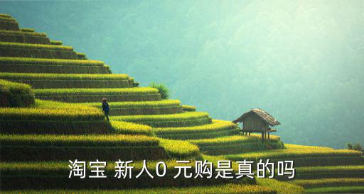 淘寶 新人0 元購(gòu)是真的嗎