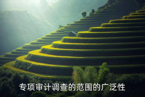 廣泛的范圍,專項審計調查范圍包括世博和廣泛閱讀