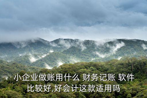  小企業(yè)做賬用什么 財(cái)務(wù)記賬 軟件比較好,好會(huì)計(jì)這款適用嗎