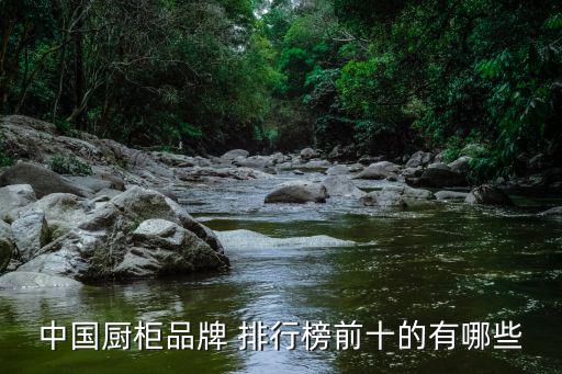 中國(guó)廚柜品牌 排行榜前十的有哪些