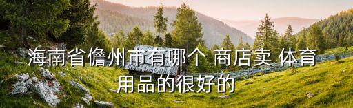 海南省儋州市有哪個(gè) 商店賣 體育 用品的很好的