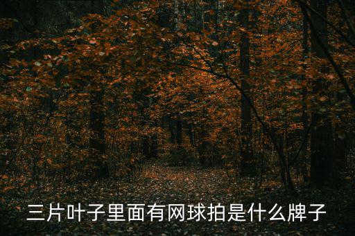 三片葉子里面有網(wǎng)球拍是什么牌子