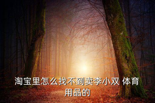  淘寶里怎么找不到賣(mài)李小雙 體育 用品的
