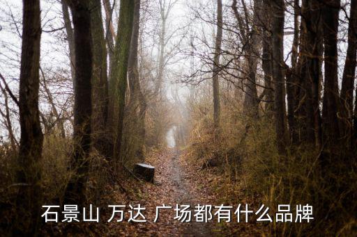 石景山 萬達(dá) 廣場都有什么品牌