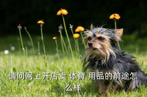 請(qǐng)問網(wǎng)上開店賣 體育 用品的前途怎么樣