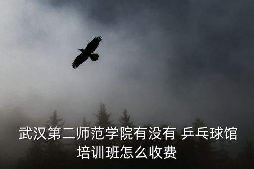  武漢第二師范學(xué)院有沒有 乒乓球館培訓(xùn)班怎么收費