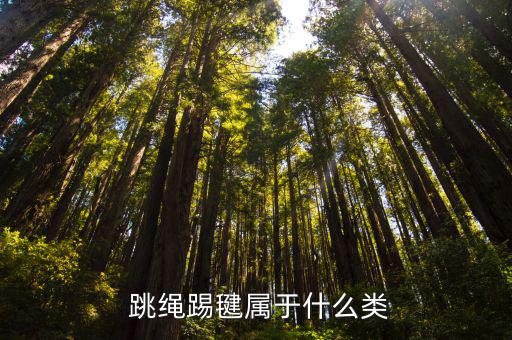 跳繩屬于什么體育用品,踢毽子和跳繩運動項目一覽