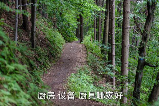 廚具廚房設(shè)備生產(chǎn)廠家特點,酒店廚具廚房設(shè)備