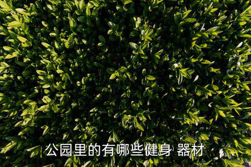 鍛煉器材圖片可愛卡通,公園里健身器材種類很多