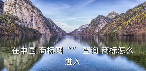 在中國 商標(biāo)網(wǎng)“” 查詢 商標(biāo)怎么進(jìn)入