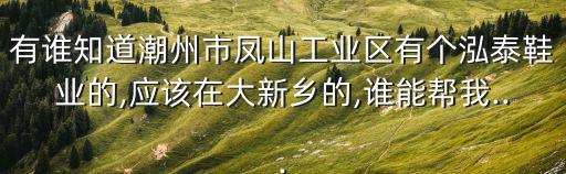 有誰知道潮州市鳳山工業(yè)區(qū)有個泓泰鞋業(yè)的,應該在大新鄉(xiāng)的,誰能幫我...