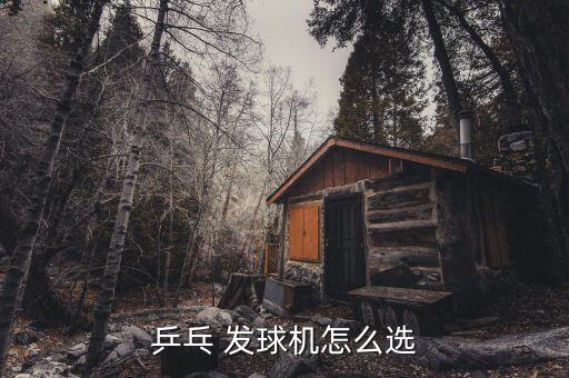家用乒乓球發(fā)球機(jī)價(jià)格,乒乓球發(fā)球機(jī)器比人工發(fā)球更具挑戰(zhàn)性