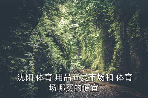  沈陽 體育 用品五愛市場(chǎng)和 體育場(chǎng)哪買的便宜
