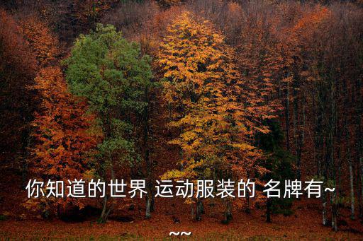 你知道的世界 運(yùn)動(dòng)服裝的 名牌有~~~