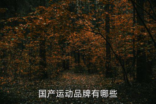 國(guó)產(chǎn)運(yùn)動(dòng)品牌有哪些