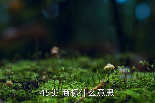 45類 商標什么意思