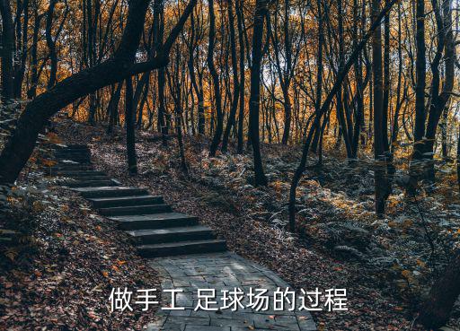 做手工 足球場(chǎng)的過程