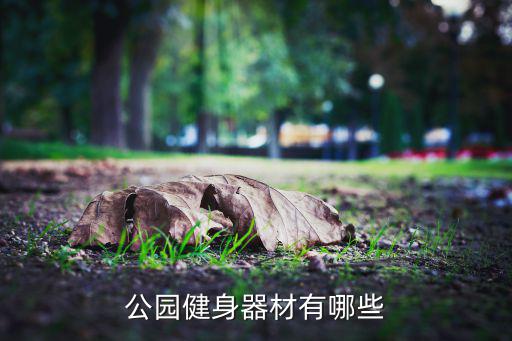 廣場運(yùn)動(dòng)器械圖片及名稱,幼兒園自制運(yùn)動(dòng)器械圖片及名稱