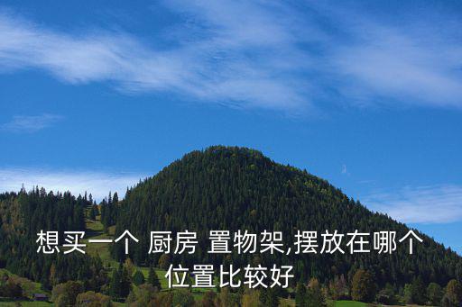 想買一個(gè) 廚房 置物架,擺放在哪個(gè)位置比較好