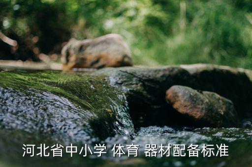 小學生體育器材清單,nn體育器材與運動相輔相成共同發(fā)展